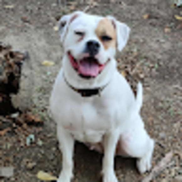 Profile Picture of Mike Mike (@mikeincontro) on Poshmark