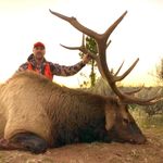 Loren Williams - Instagram Profile Picture of Loren Williams (@mesaoutfittersco) on Instagram