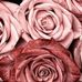 Profile Picture of Danae Blackmon (@danae.blackmon.1) on Facebook