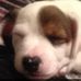Profile Picture of Deedee Fowler (@deedee.fowler.7140) on Facebook