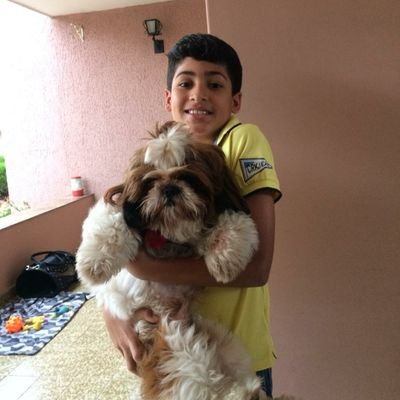 Profile Picture of DANIEL Maloy (@DANIELMaloy4) on Twitter