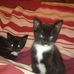 Profile Picture of Dawn Mccann (@dawn.mccann.353) on Facebook