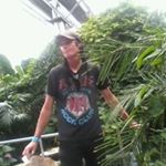 Profile Picture of Stephen Nicholls (@sabbathnz603) on Instagram