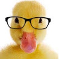 Profile Picture of Nathan Mcfarlane (@nathan-mcfarlane-9) on Quora