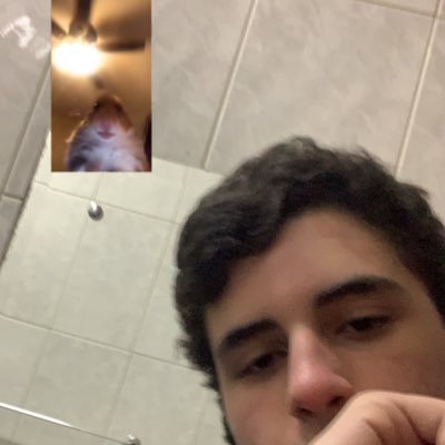 Profile Picture of Irmão Gemêo Do Brad Pitt (@lil_celio) on Twitter