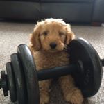 Profile Picture of Larry Bartin (@larry_bartin1766) on Instagram