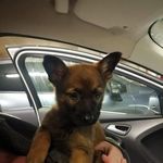 Gary Cheesman - Instagram Profile Picture of Gary Cheesman (@garycheesman) on Instagram