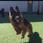 Peter Doggett - Facebook Profile Picture of Peter Doggett (@peter.doggett.923) on Facebook