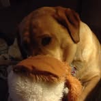 Profile Picture of Marlene Veet (@marlene.veet) on Facebook