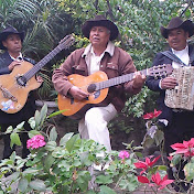 Profile Picture of Fernando Rojas Flores (@fernandorojasflores2442) on Youtube