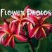 Profile Picture of Natasha Huynh (@natasha.huynh.77770) on Facebook