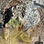 Profile Picture of Robert Jensen (@jensenperspectivephotography) on Flickr