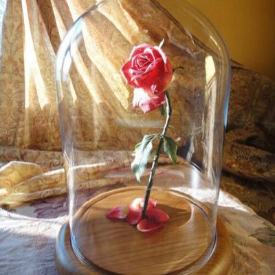 Lailaa Beemath - Twitter Profile Picture of Lailaa Beemath (@lailaab09) on Twitter