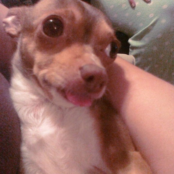 Deena Kozoway - Poshmark Profile Picture of Deena Kozoway (@deenakozoway627) on Poshmark