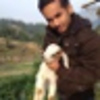 Profile Picture of prakash.thapa.3110 (@prakash.thapa.3110) on Flickr