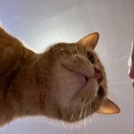 lori schultz spradlin - Instagram Profile Picture of lori schultz spradlin (@lspra001) on Instagram