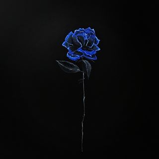 Profile Picture of Joe Aton (@joe.aton.338) on Facebook