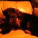 Profile Picture of Laci Tuttle (@laci.tuttle.92) on Facebook