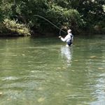 Profile Picture of Steve Longstreet (@poppielongstreet) on Instagram