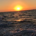 Profile Picture of Nancy (@janpizzino) on Instagram