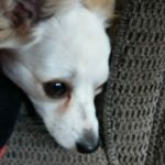 Profile Picture of Leo Babineau (@babineauleo) on Instagram