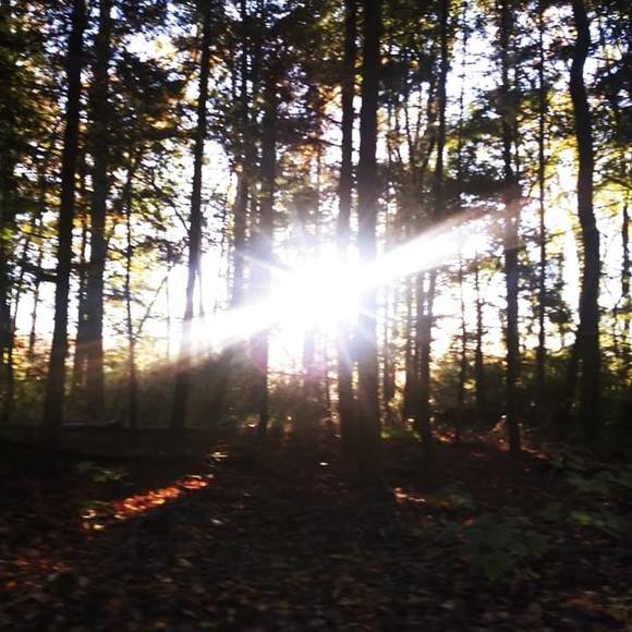 Profile Picture of Renee Boyd (@reneeboyd976) on Poshmark