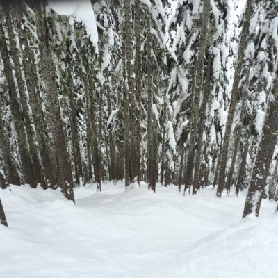 Profile Picture of Matthew Kinkead (@wmkinkead) on Twitter