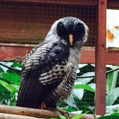 Profile Picture of Cathy Tear (@@CSTeare) on Twitter