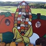 Profile Picture of Nicholas Lucca (@nicholas.lucca.54) on Instagram