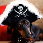 Profile Picture of Tisha Wilburn (@tisha.wilburn1) on Instagram