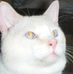 Profile Picture of Barbara Jean Hunsicker (@barbarajean.hunsicker) on Facebook