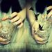 Profile Picture of Bethaney Devault (@bethaney14) on Pinterest