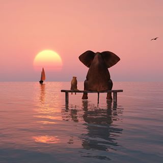 Profile Picture of Elif Ayan (@elif.ayan.585) on Facebook