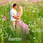 Profile Picture of Sharon Lotter (@Sharon-Lotter) on Facebook