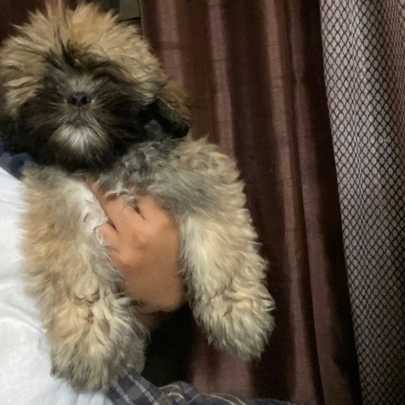 Alec Martinez - Poshmark Profile Picture of Alec Martinez (@alecsmartinez) on Poshmark