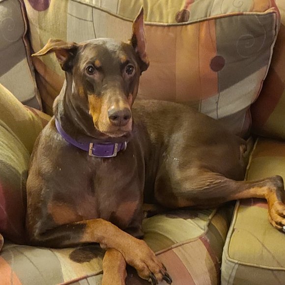 Stacy Lance croan - Poshmark Profile Picture of Stacy Lance croan (@stacyrae77) on Poshmark