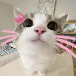 Profile Picture of Dennise Alexa Camingao (@dennise.alexa.camingao.2025) on Facebook