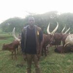 Profile Picture of Omar Kanigia (@omar_mussa) on Instagram