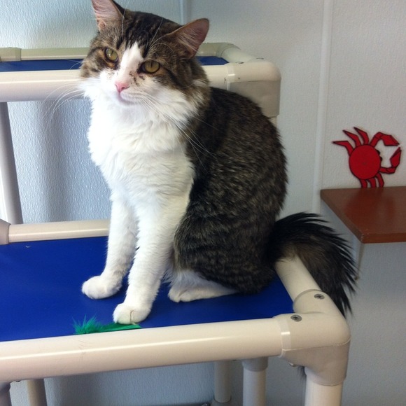 Profile Picture of Kira Mcmahon (@kirabriannee) on Poshmark