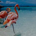 Profile Picture of Carl Kaczmarek (@carlkaczmarek) on Instagram