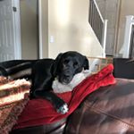 Profile Picture of Andrew Lacy (@andrew_lacy1974) on Instagram