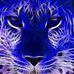 Profile Picture of Julie Hanrahan (@julie.hanrahan.71) on Facebook