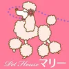 Profile Picture of ペットハウスマリー (@pethousemary) on Tiktok