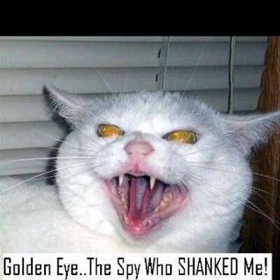 Profile Picture of Scott Shumsky (@@scottieshum17) on Twitter