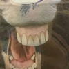 Profile Picture of Robert Idasiak (@robertidasiak) on Tiktok