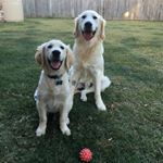 Profile Picture of Glynis Fowler (@glynis.fowler) on Instagram