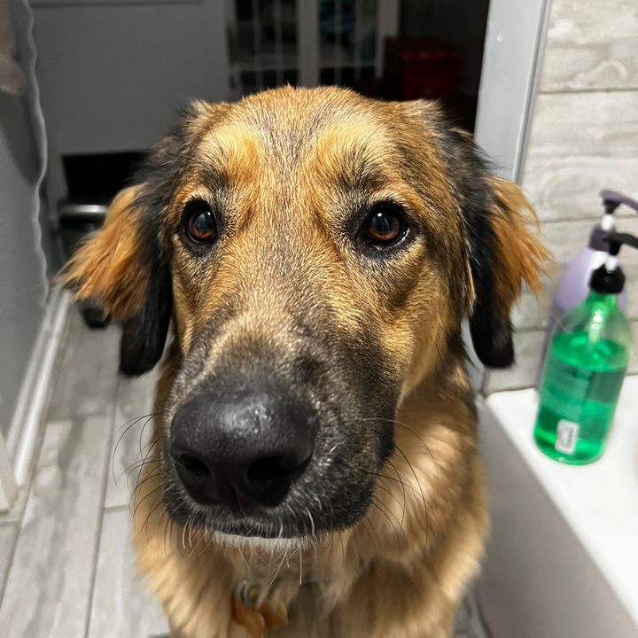 Profile Picture of michaelbensingercolton (@michaelbensingercolton) on Tiktok
