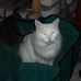 Profile Picture of Ginger Perry (@ginger.perry.796) on Facebook