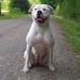 Profile Picture of Daniel DRescher (@daniel.drescher.712) on Facebook