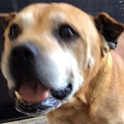 Profile Picture of Dillon McManus (@dillonmcmanus9790) on Youtube